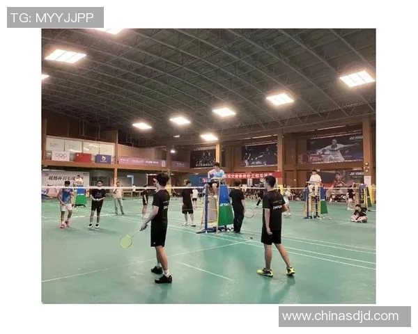 武汉羽毛球队与深圳羽毛球队赛后技术分析与战术总结