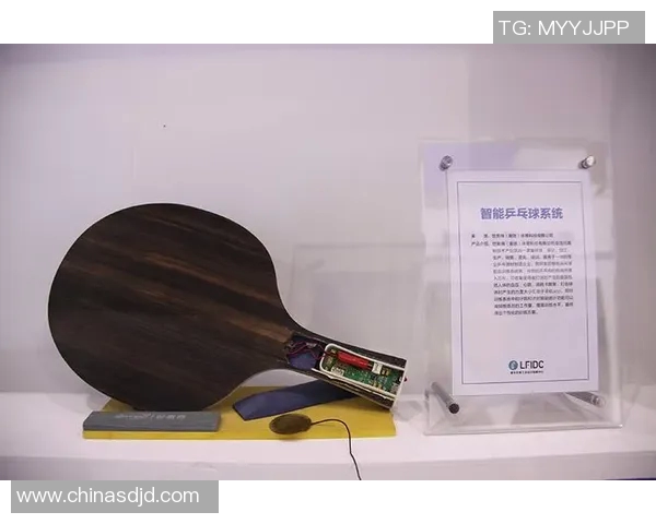 成都乒乓球队转型升级的背后故事与未来发展展望