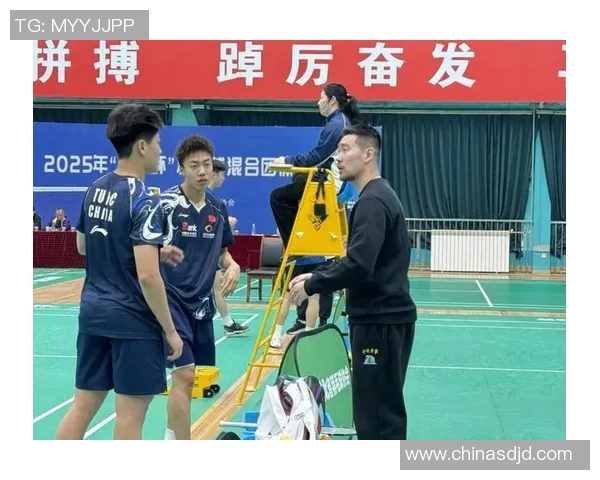 武汉羽毛球队在锦标赛中的比赛经验与表现分析及启示