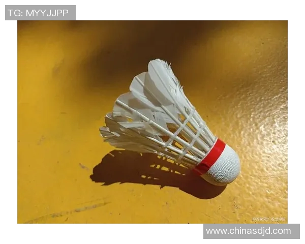 羽毛球战术解析:杭州羽毛球队如何巧妙运用边路渗透技巧 羽毛球战术解析:杭州羽毛球队如何巧妙运用边路渗透技巧