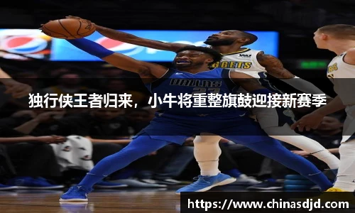 独行侠王者归来，小牛将重整旗鼓迎接新赛季